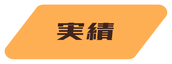 実績
