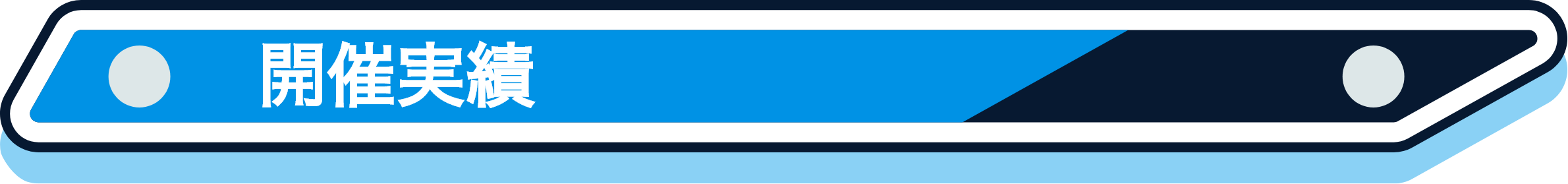 開催実績